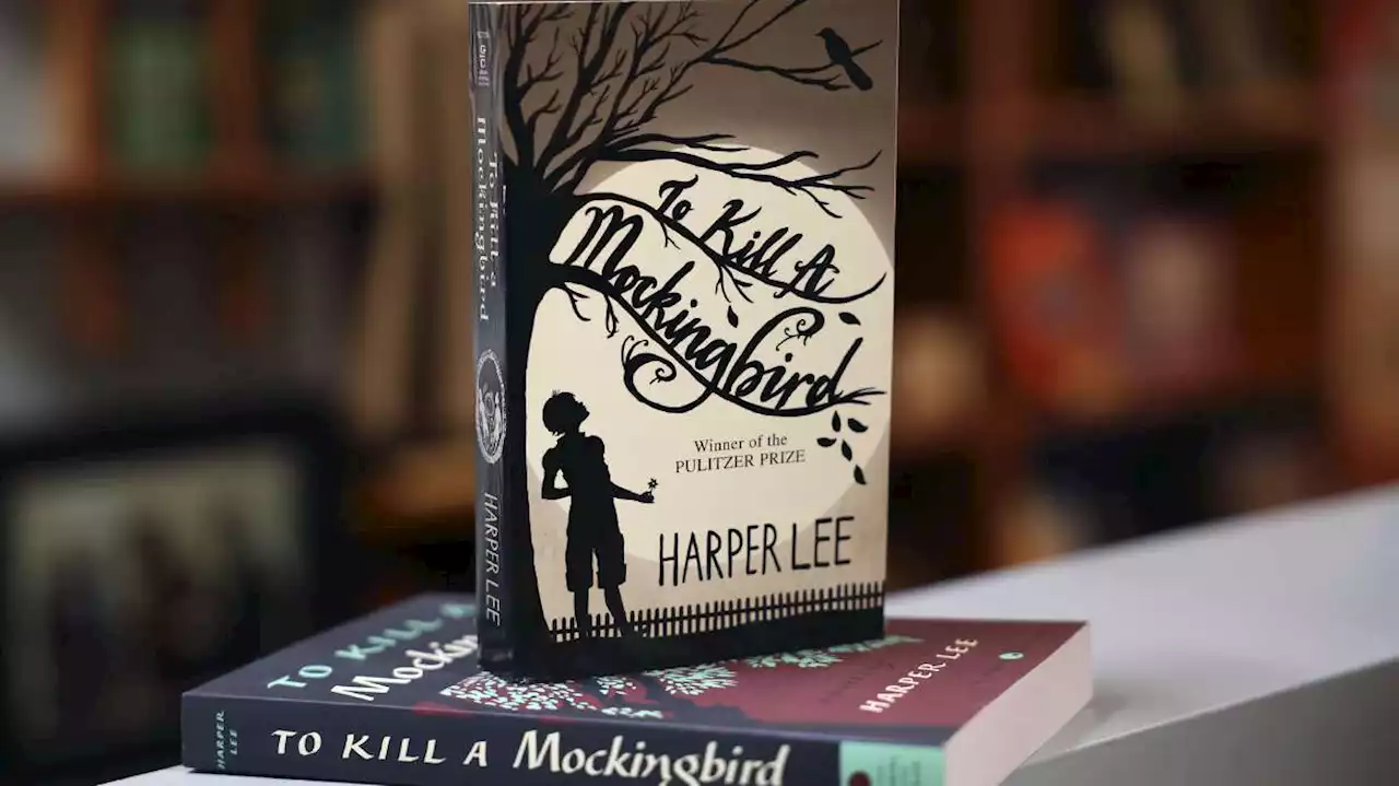 Amid book banning battles, Seattle school drops 'To Kill a Mockingbird' over racism concerns