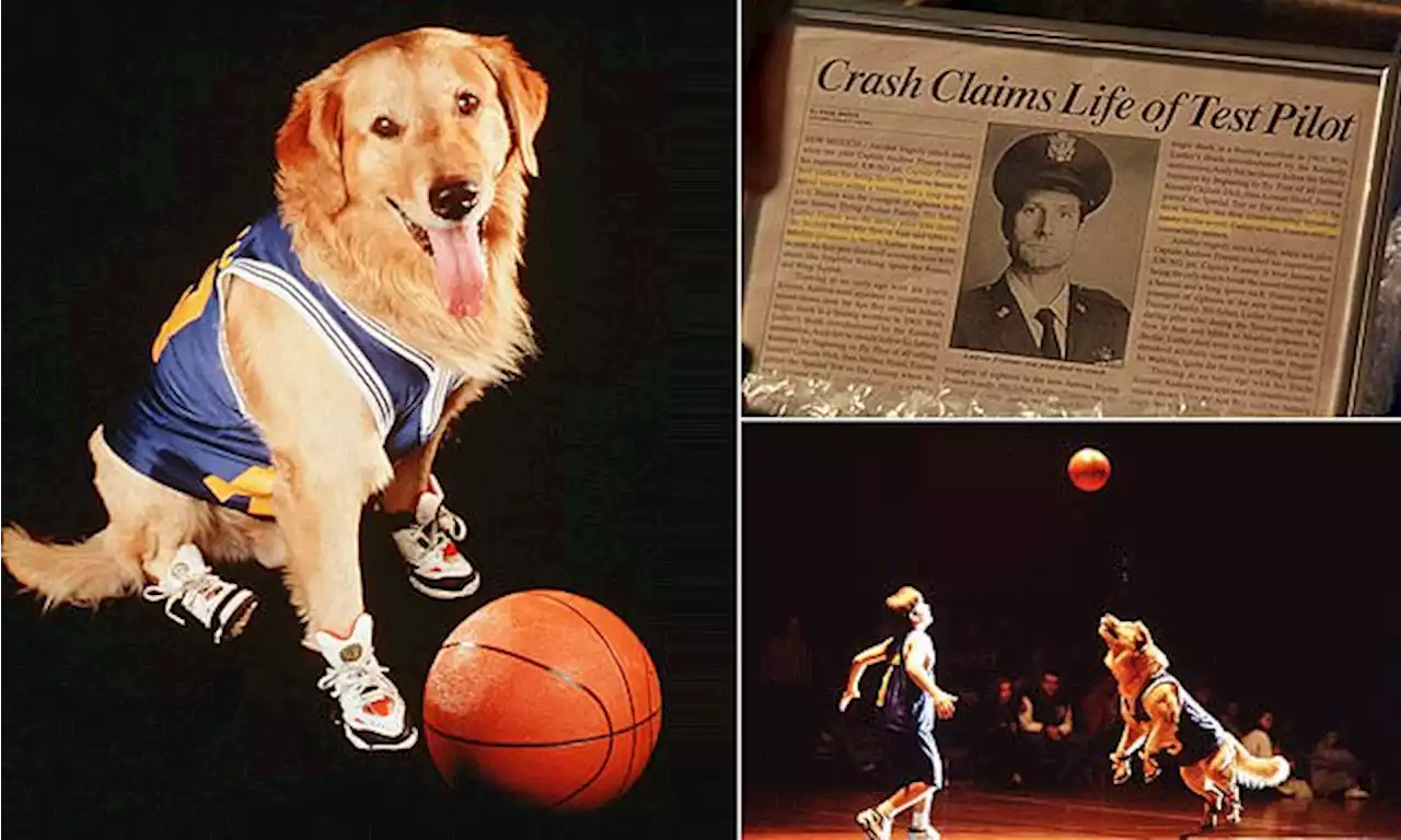 Air Bud background gag's Islamophobia went unnoticed for 25 years