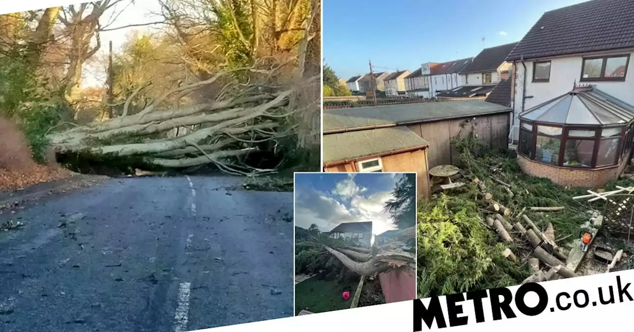 Boy, 9, is second victim killed by Storm Malik as 147mph winds batter UK