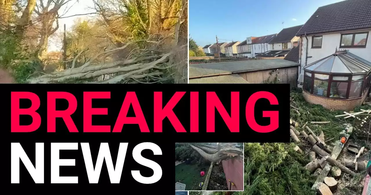 Boy, 9, is second victim killed by Storm Malik as 147mph winds batter UK