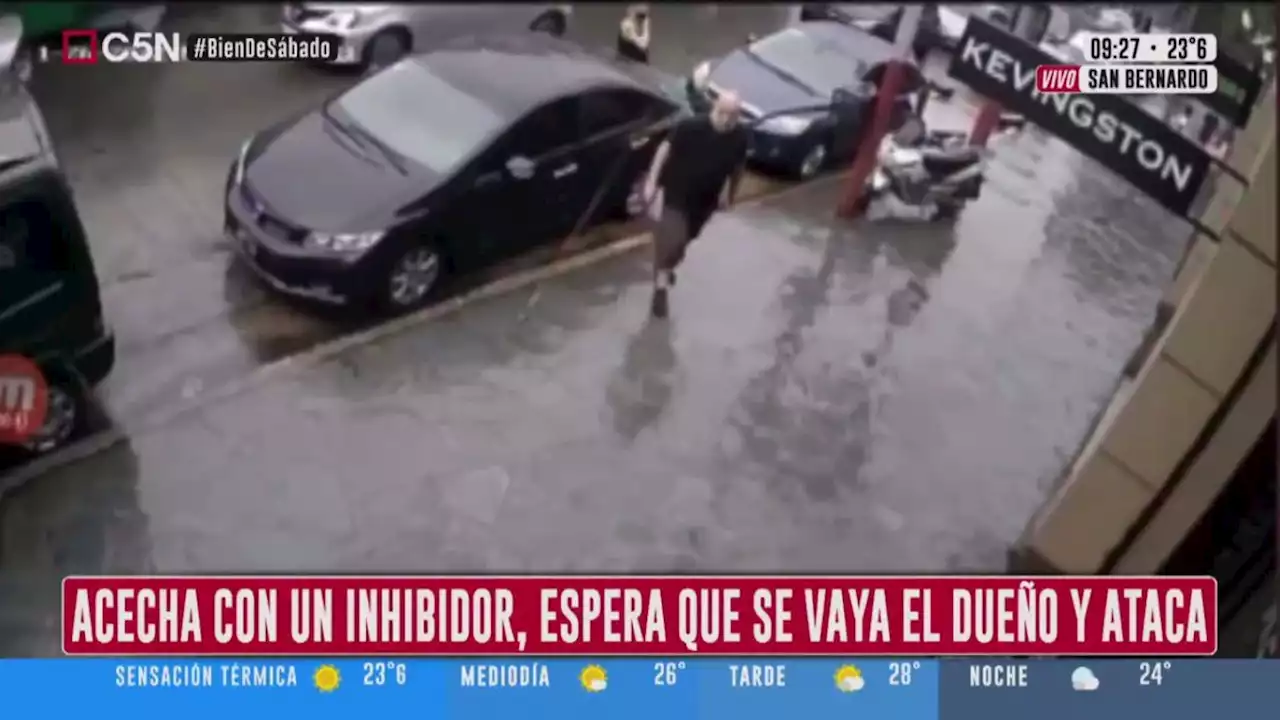 VIDEO: Así ataca la 'roba coches' de Lanús