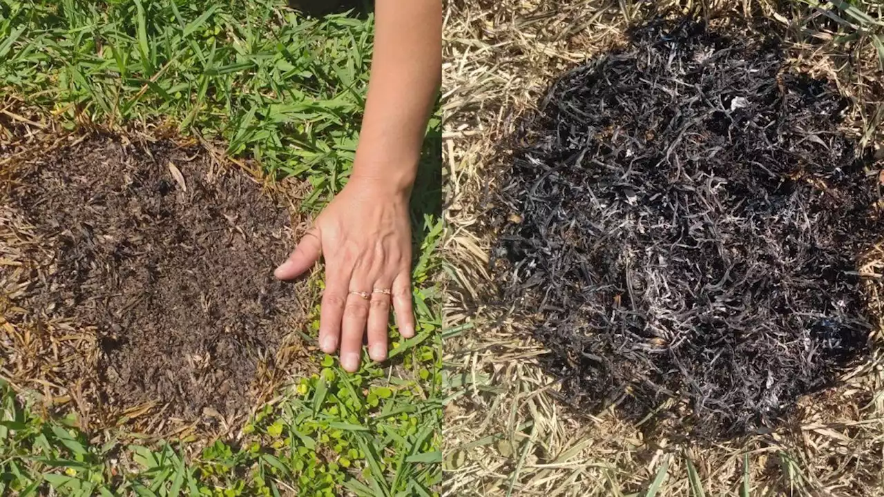 X Files en Córdoba: chacarero dice que luz blanca lo sigue en su campo y muestra quemaduras en suelo