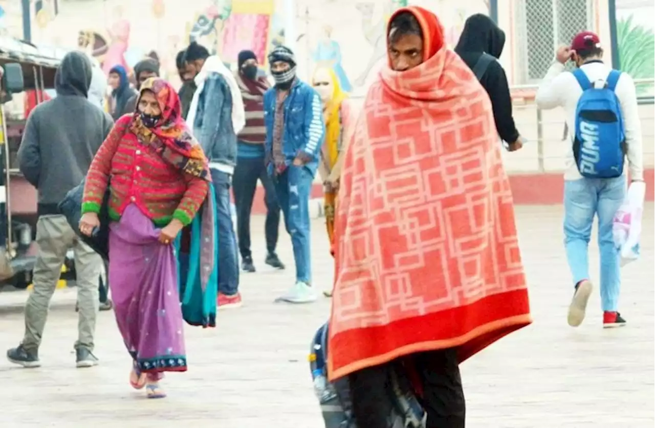 शेखावाटी में दो दिन चलेगी शीतलहर, प्रदेश में जल्द हो सकती है हल्की बरसात | cold wave and rain alert in rajasthan | Patrika News