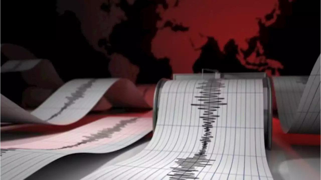 USGS Catat Gempa Magnitudo 6,4 Guncang Selandia Baru