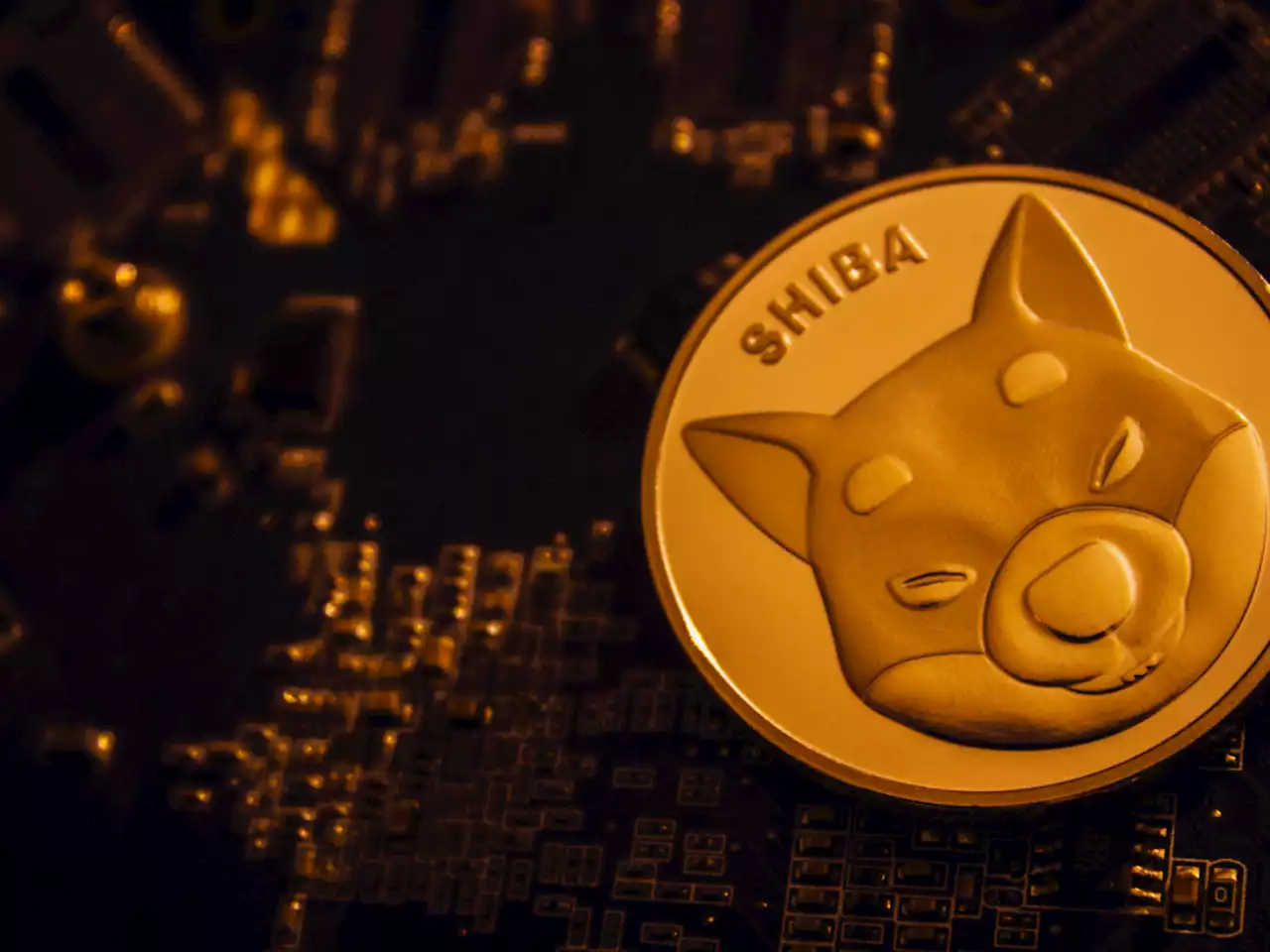 9 Billion SHIB Acquired by Whales as Price Goes Up