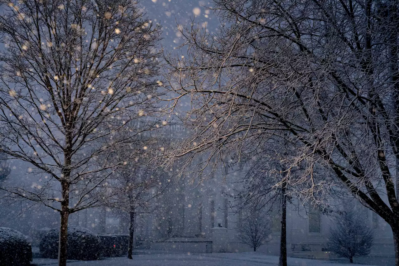 School, work, travel can wait as snow blankets U.S. capital | AP News