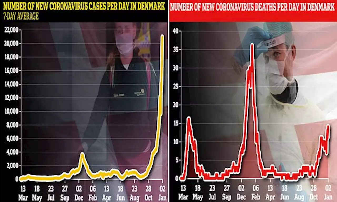 Denmark health chief says Omicron is bringing the END of the pandemic