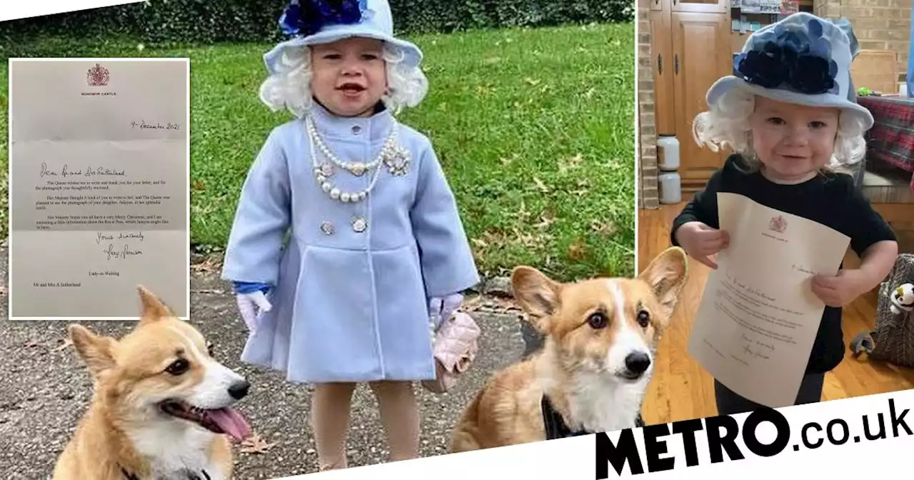 Toddler gets royal seal of approval after dressing up as the Queen for Halloween