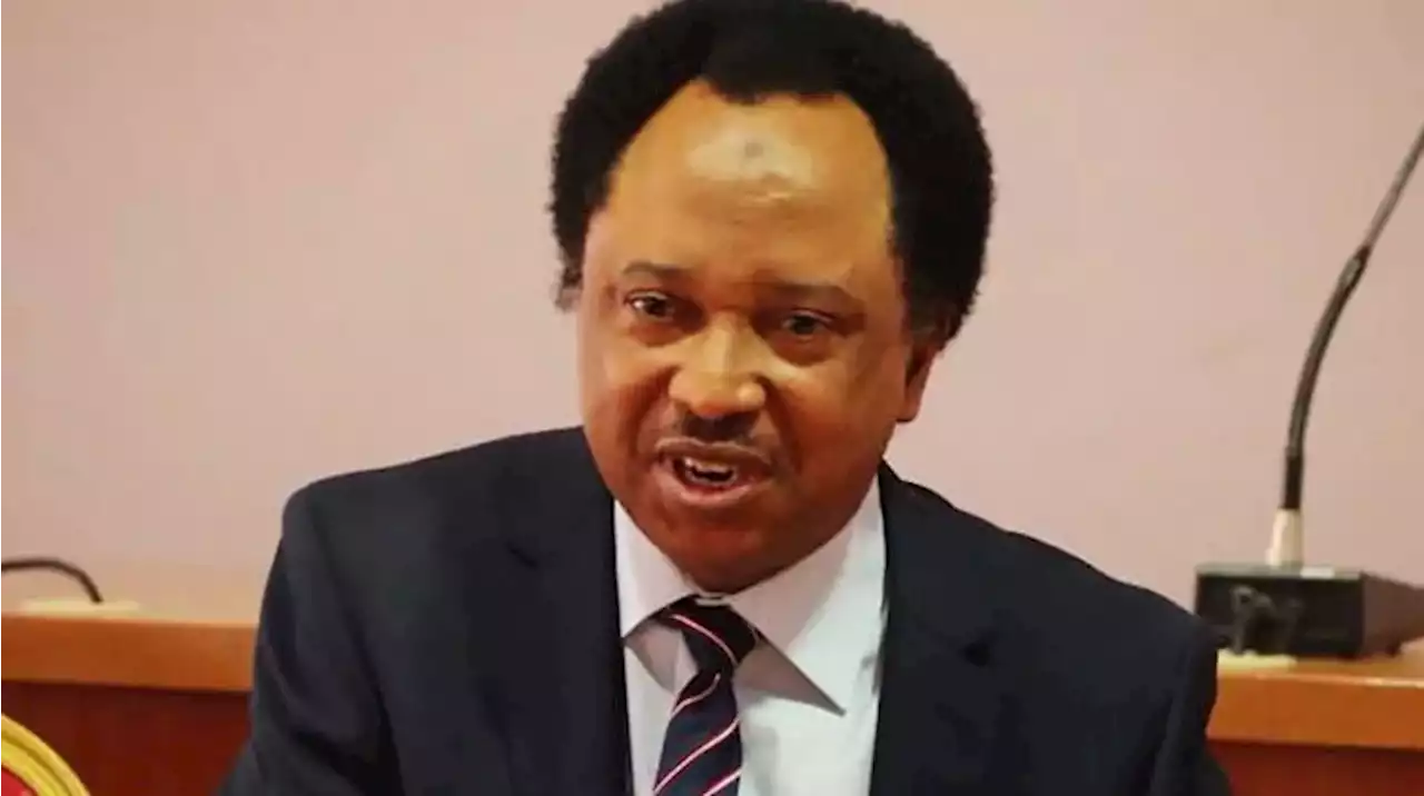 2023: Shehu Sani joins Kaduna gov race - Punch Newspapers