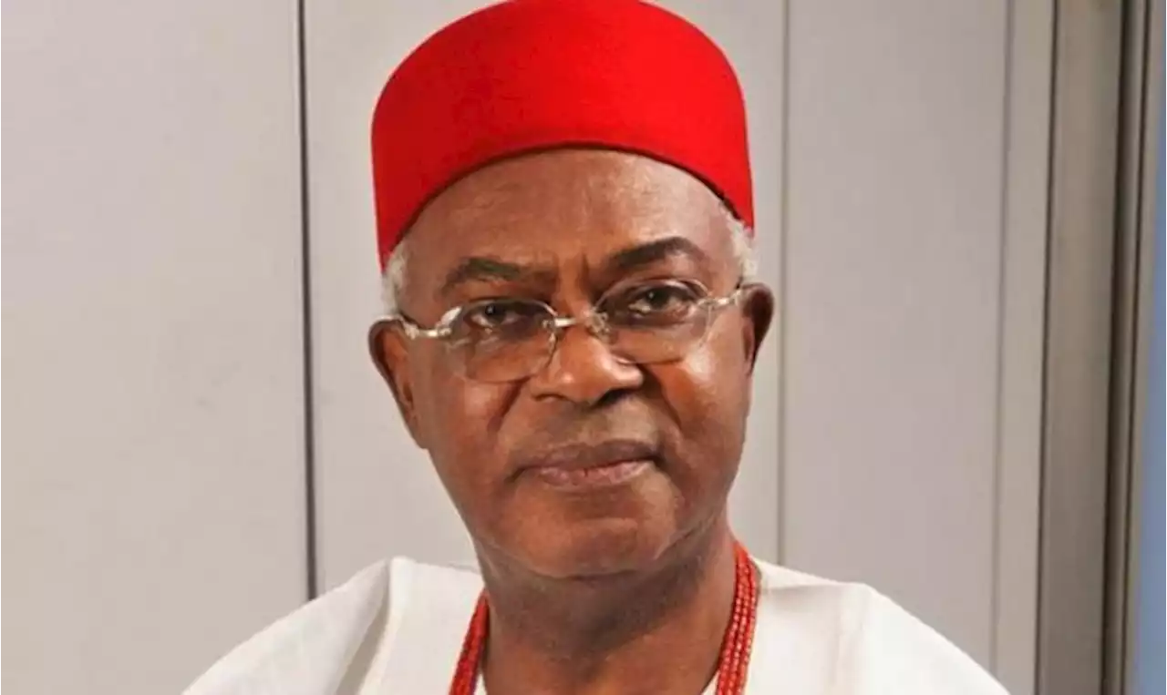 Enough of killings, violence in Imo, Obi of Onitsha, others warn politicians - Punch Newspapers