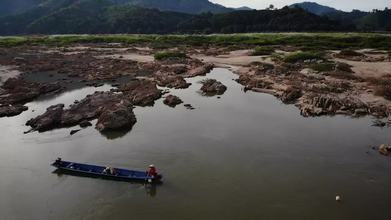 New megadams threaten world’s biggest fish