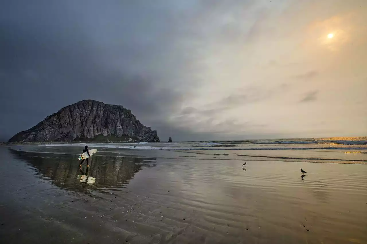 Fatal shark attack off California coast devastates family, alarms surfers