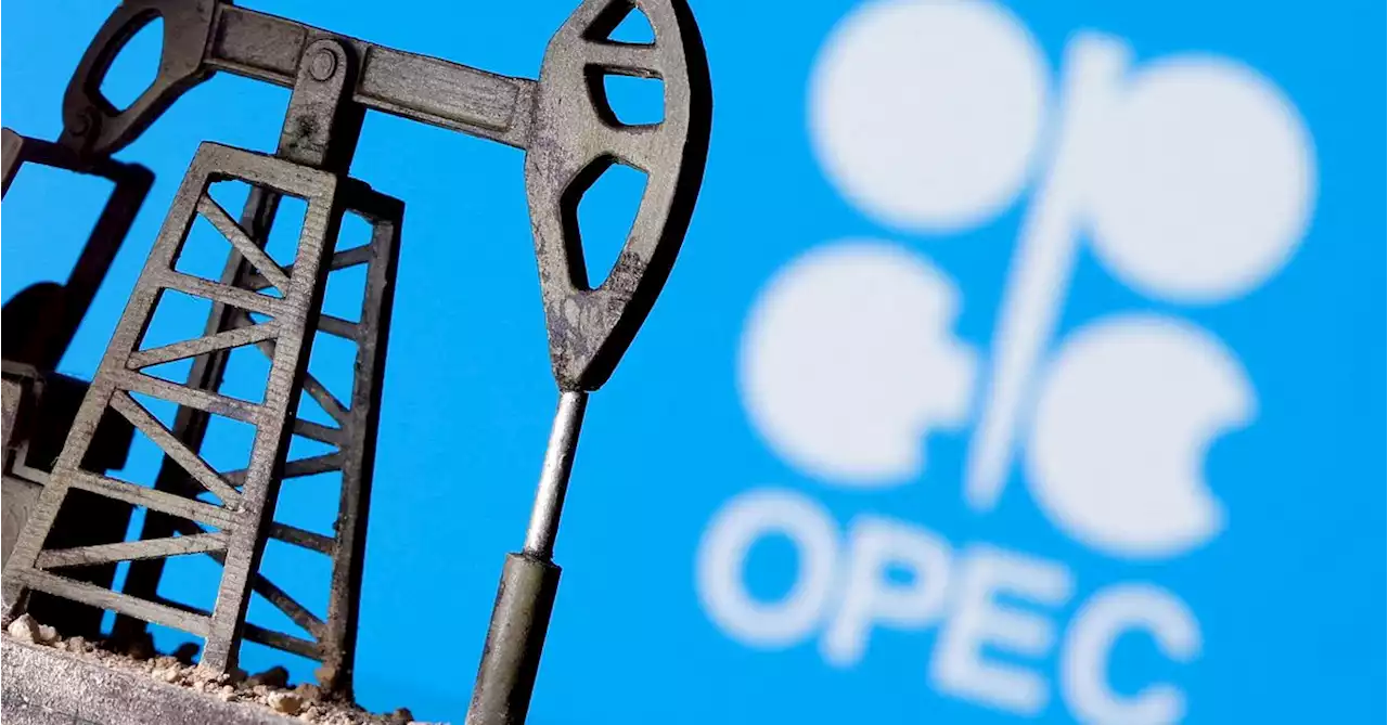 OPEC+ expected to stick with planned Feb output increase, sources say