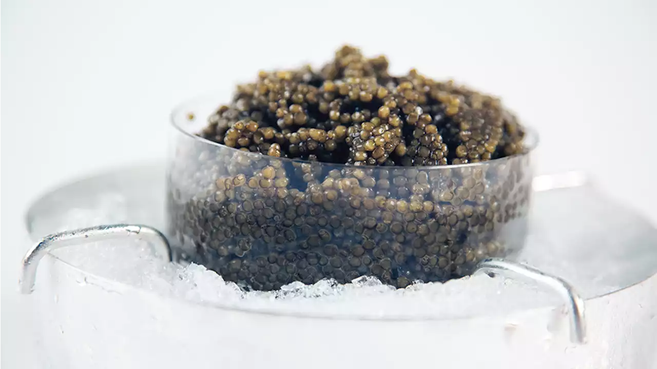 Caviar, Explained: Where to Find the Very Best and How to Serve It