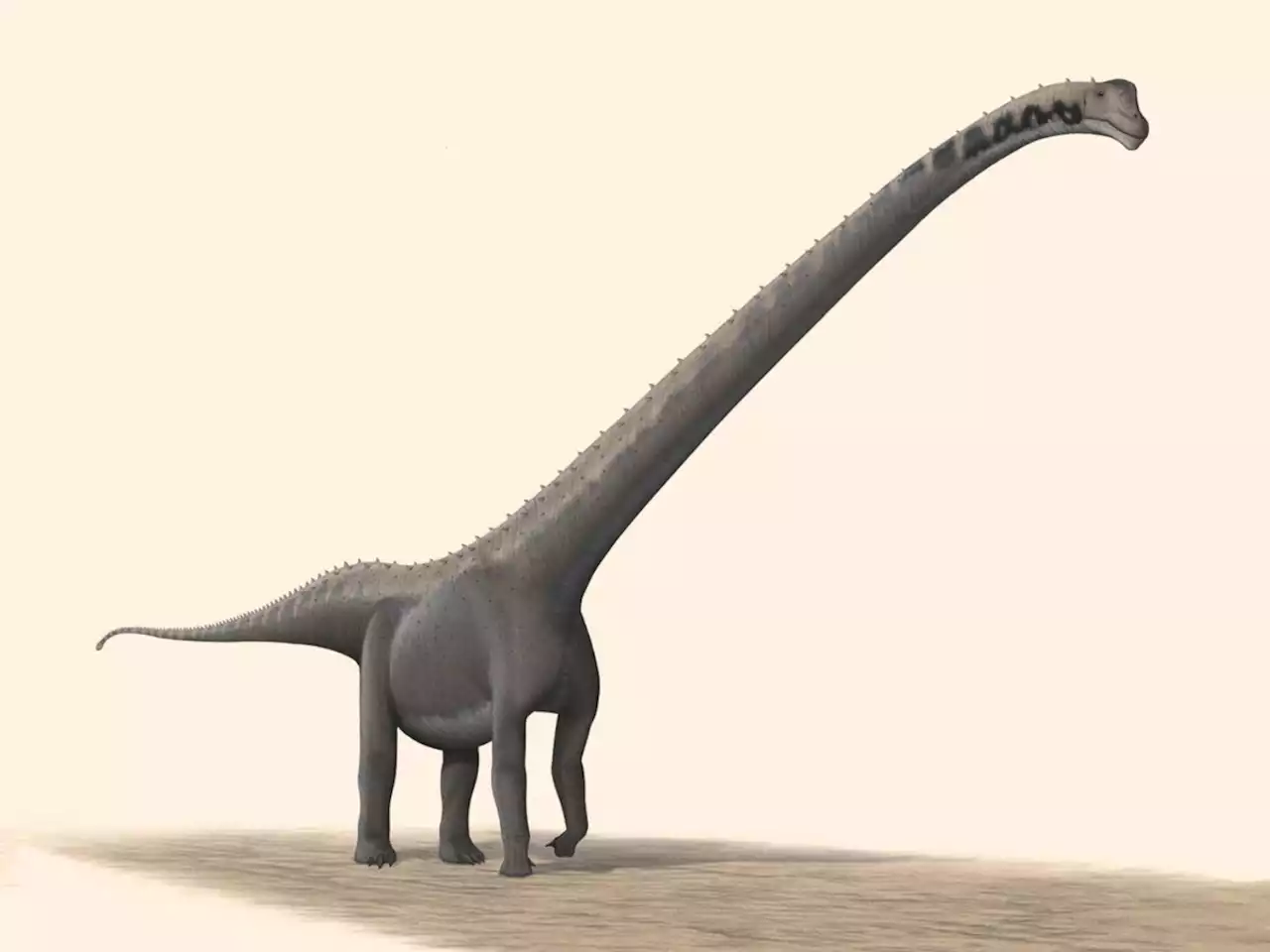 Paleontologists Identify New Species of Long-Necked Dinosaur | Sci-News.com