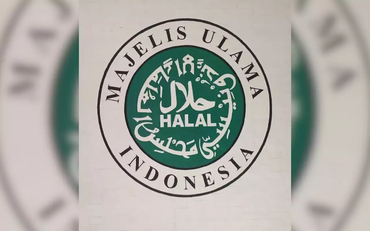 Kata MUI soal Heboh Fenomena Boneka Arwah