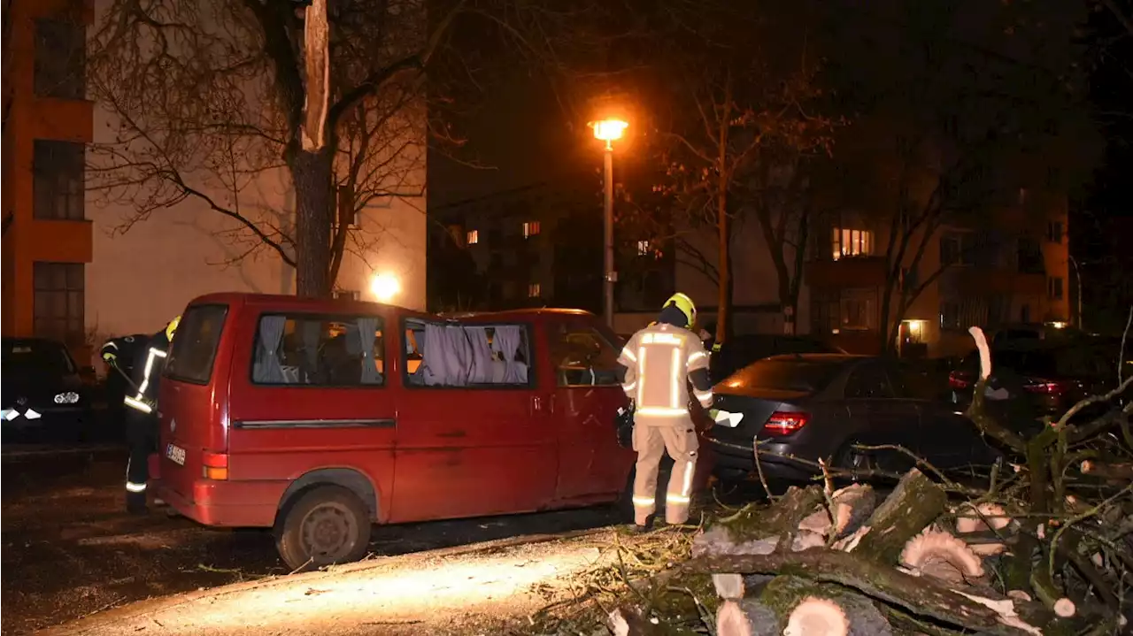 Sturmtief erreicht Berlin – großer Ast fällt auf VW-Bus