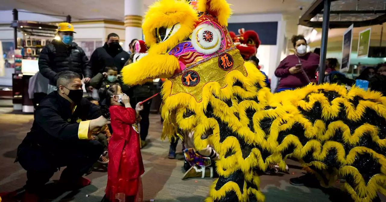 Richardson to host Chinese New Year festival, with lion dances, food vendors and live music