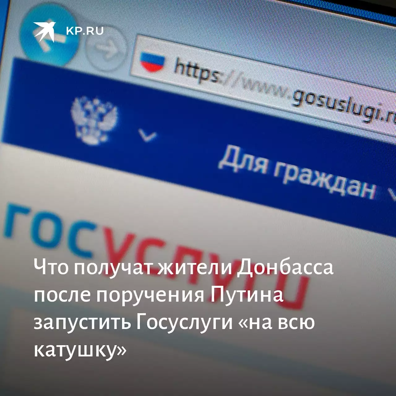 Что получат жители Донбасса после поручения Путина запустить Госуслуги «на всю катушку»