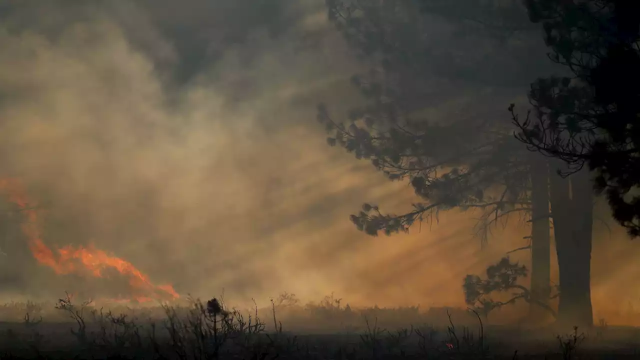 How extreme fire weather can cool the planet