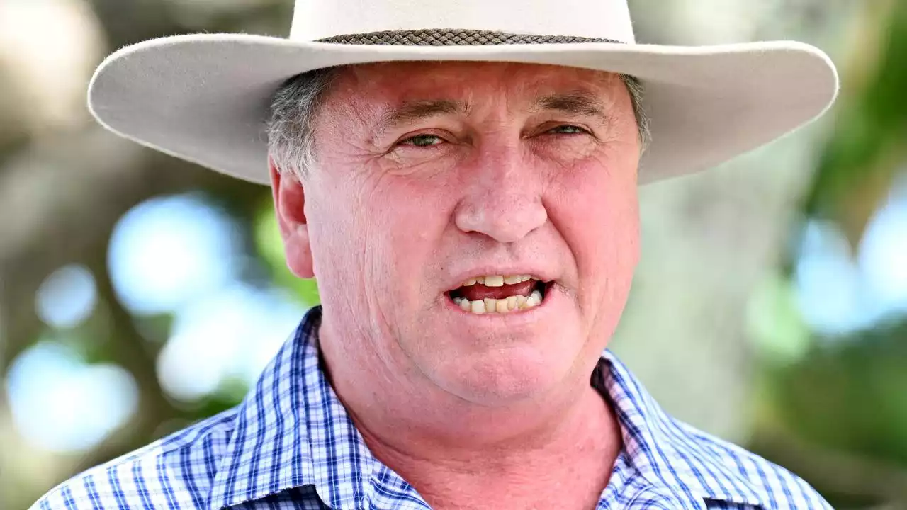 ‘Have to lie’: Barnaby repeats RAT claim