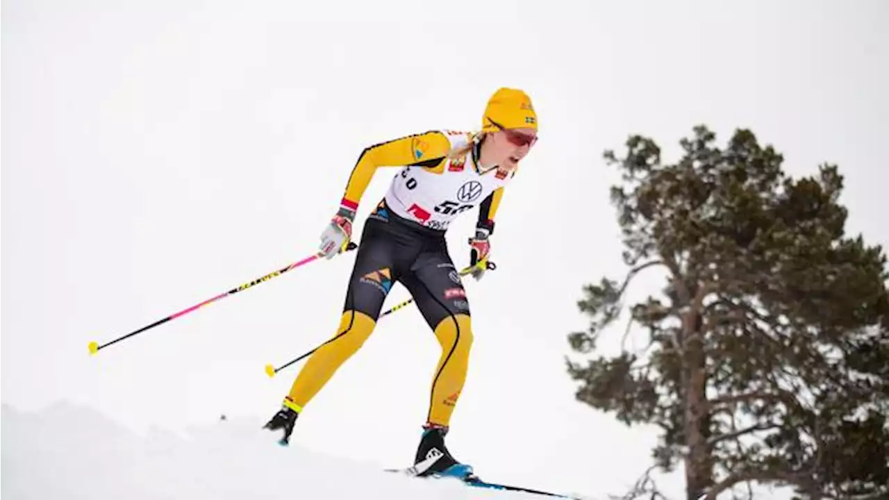 Längdskidor: Dahl vinner grand slam-tävlingen i Marcialonga