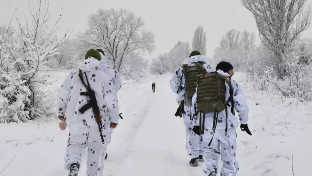 Stunning warning issued over Russian ‘propaganda’ as troops gather at Ukraine border