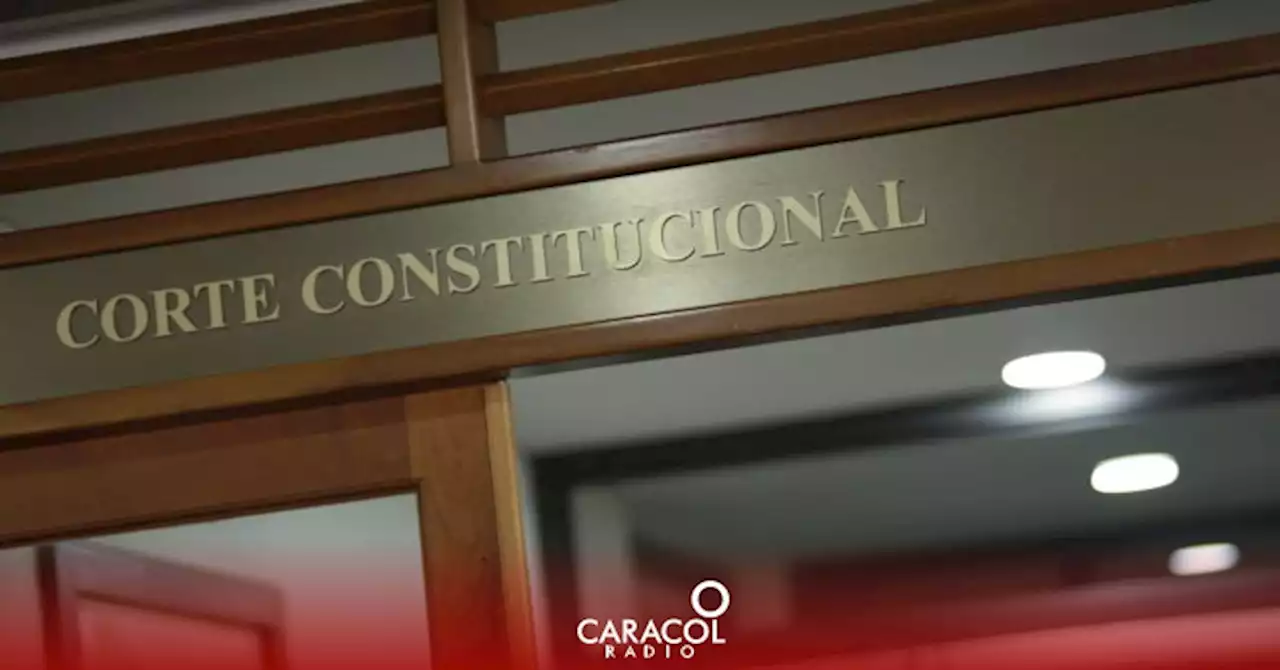 Corte lanzará una Constitución Política lúdica para menores de edad