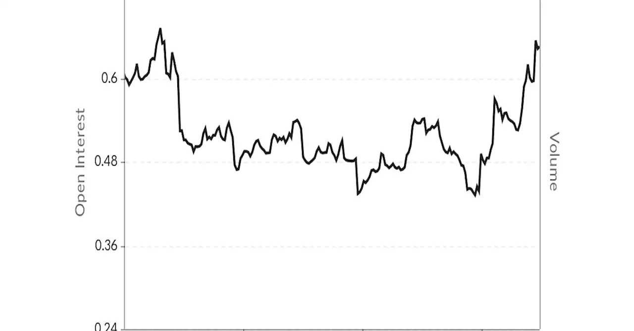 Bitcoin's Put-Call Ratio Hits 6-Month High as Negativity Rules