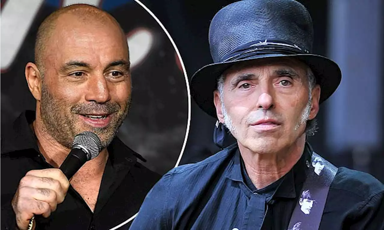 Nils Lofgren takes music off Spotify over Joe Rogan's 'misinformation'