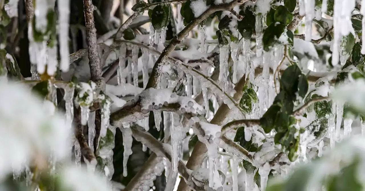 Harsh winter weather forecast for North and Central Texas by midweek, National Weather Service says