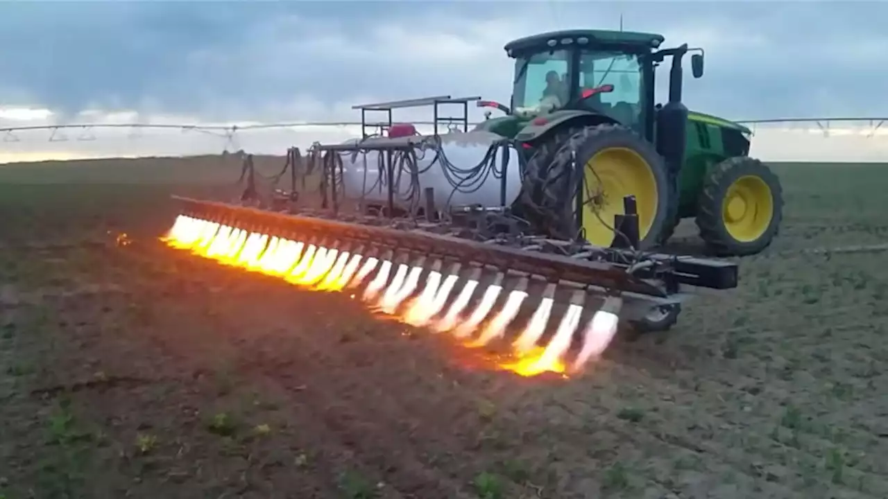 Flame-Throwing Tractor Needs No Chemicals to Get Rid of Weeds