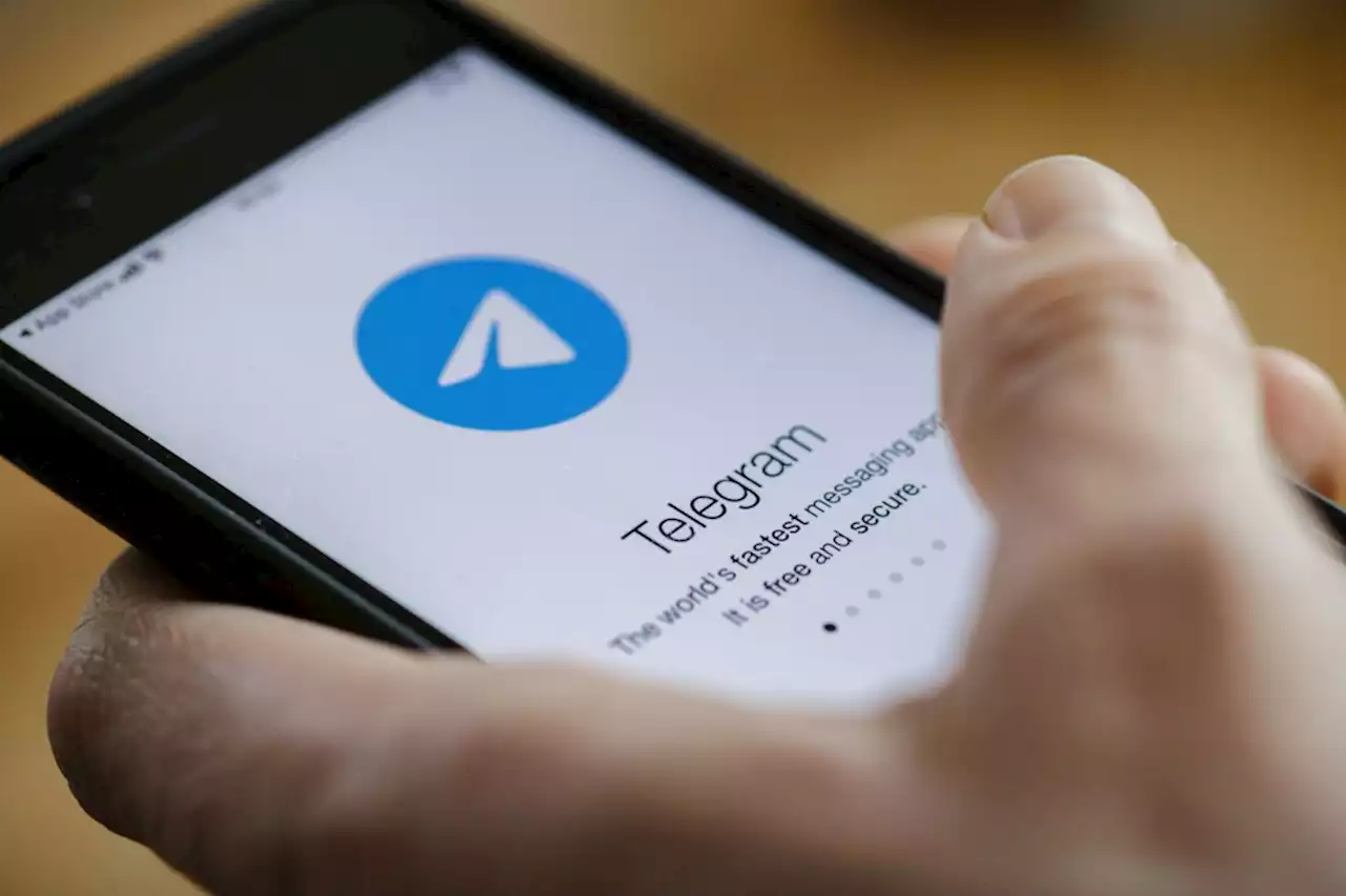 Минюст Германии начал два расследования против Telegram