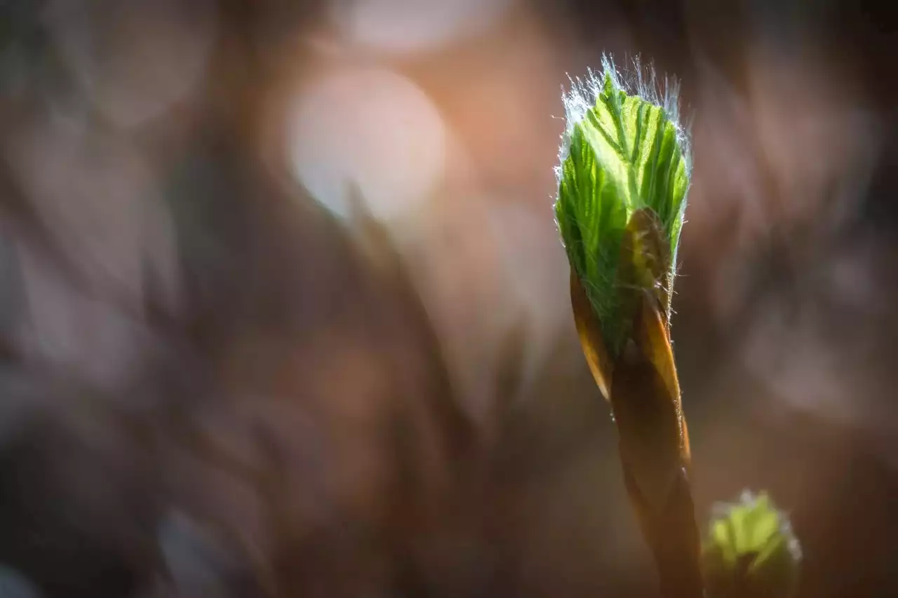 Misteri ingloriosi | Comunque siano andate le cose tra Letta e Conte, per il Pd è tempo di rifarsi una vita - Linkiesta.it