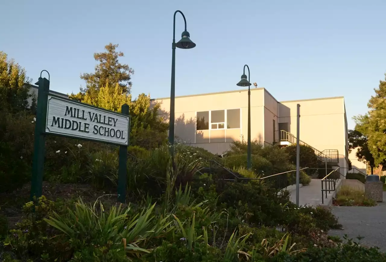 Mill Valley schools trustee accused of calling colleagues ‘idiots’