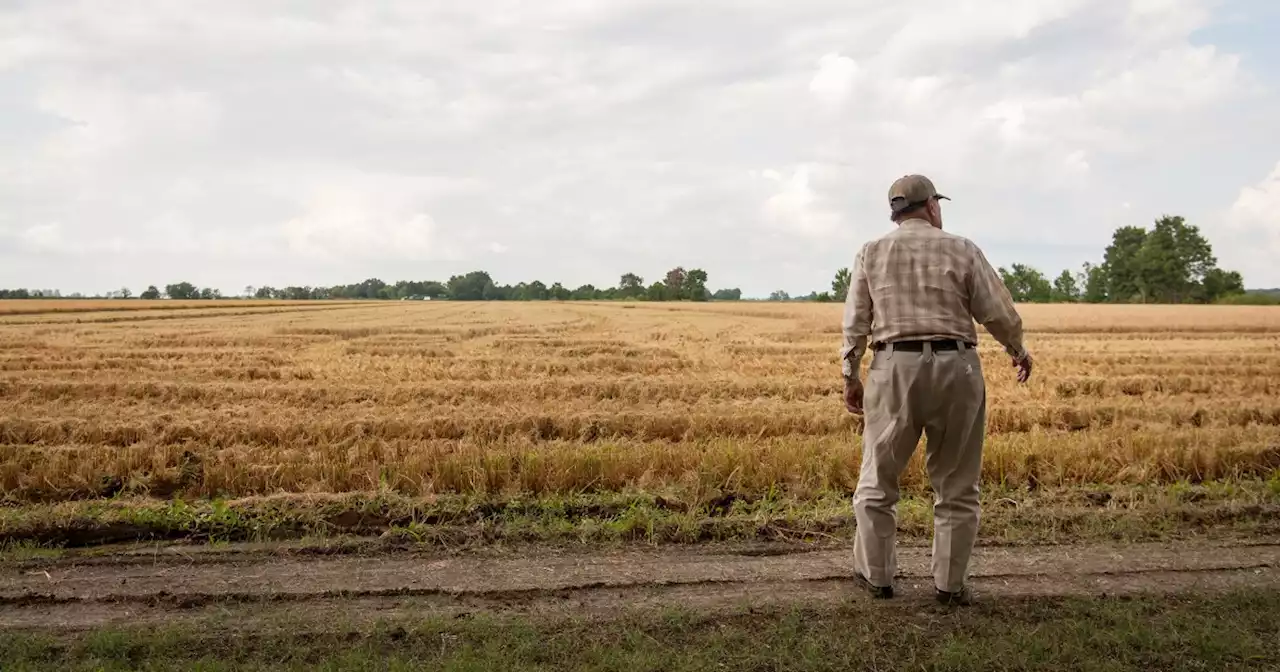 Farmers flourish under Biden, see recovery from Trump-era trade wars