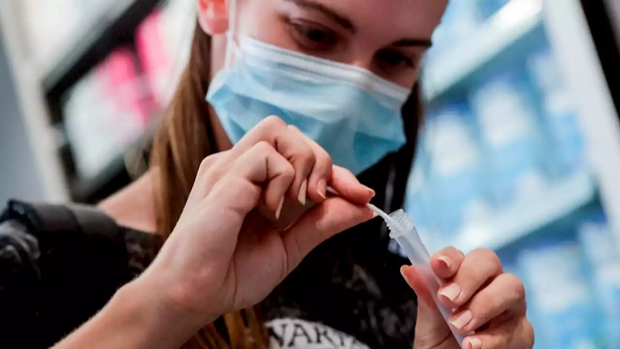 Ya se consiguen los autotest de covid en farmacias de CABA y Provincia de Buenos Aires | Cómo usarlos, paso a paso