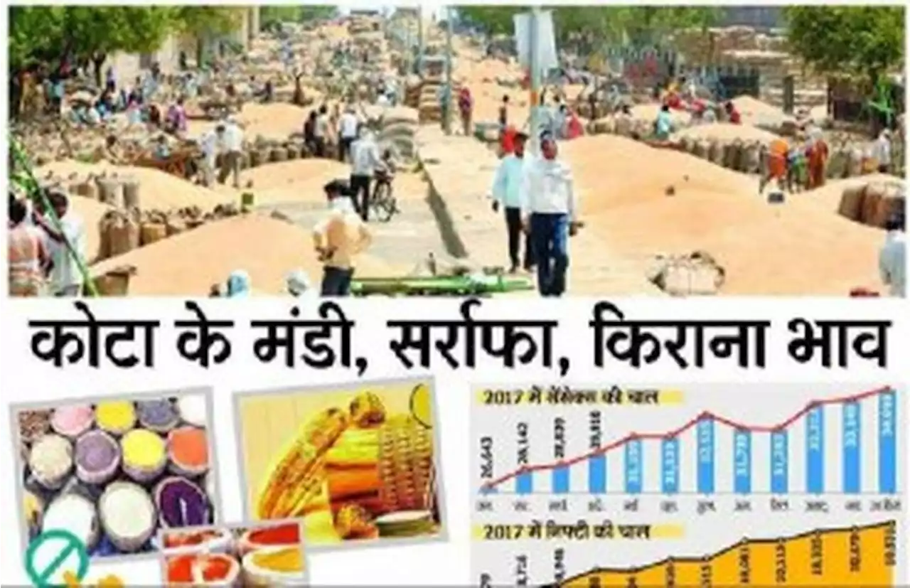 Kota Mandi: 31 जनवरी 2022 : सोयाबीन में मंदी, धान में तेजी | Kota market, grocery and bullion market price | Patrika News