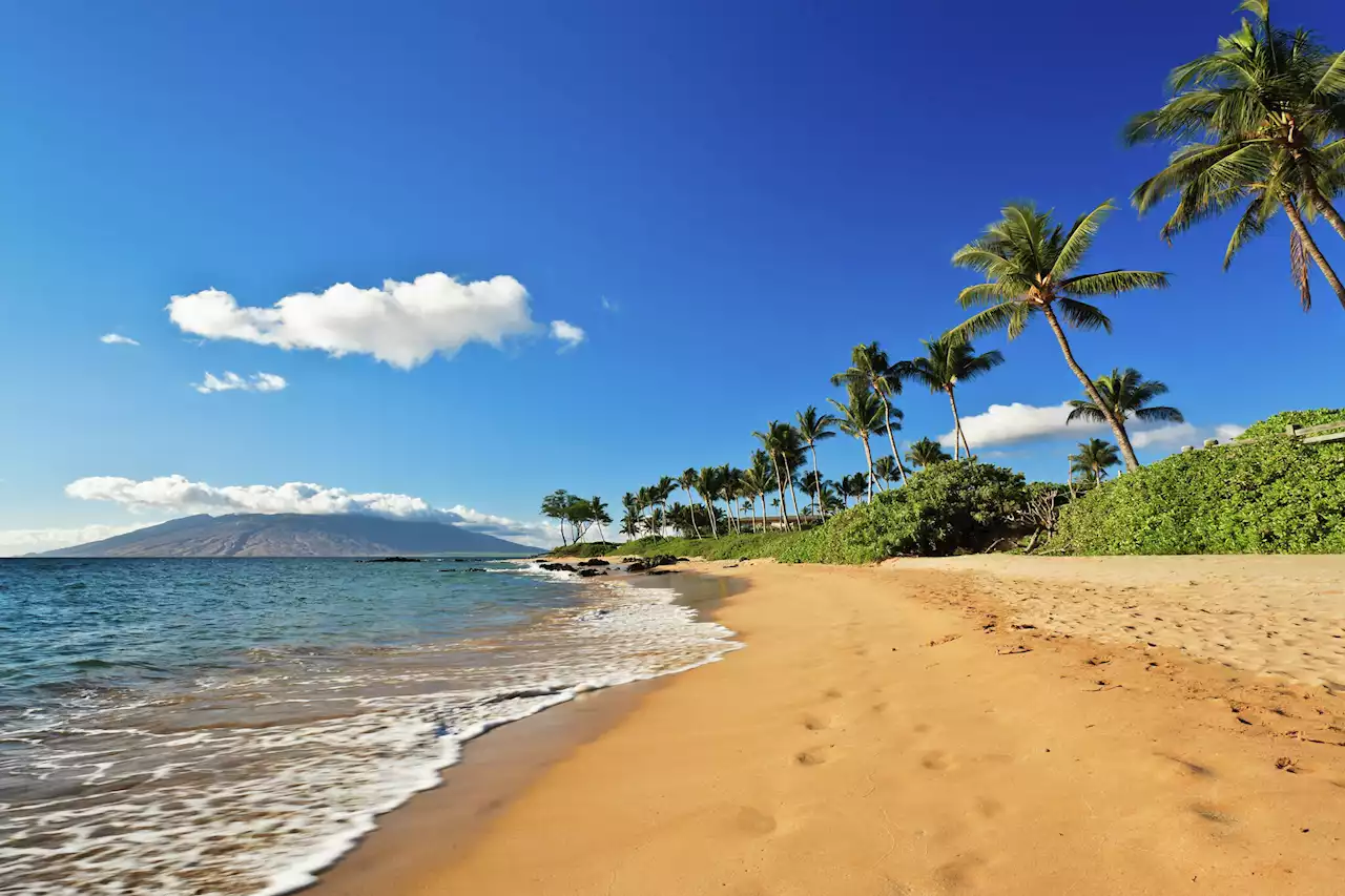 'Entitled' tech millionaire clashes with Hawaii locals