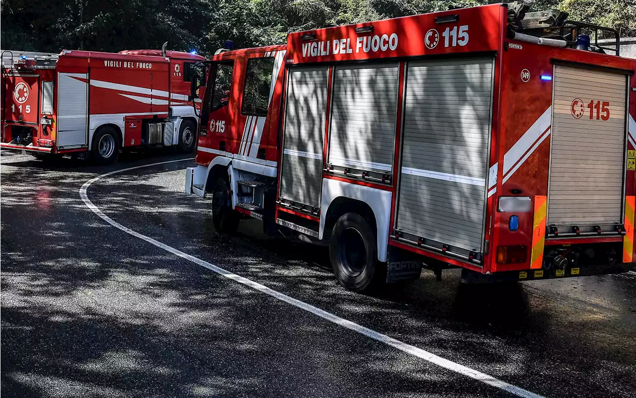 Incendio in Val di Susa, fiamme nei boschi nella zona del Col del Lys