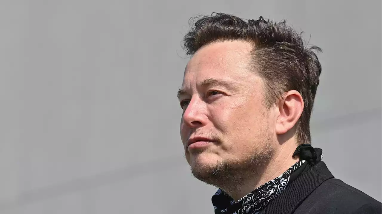 Elon Musk bezeichnet Joe Biden als 'feuchte Sockenpuppe' – weil der Präsident Tesla öffentlich ignoriert