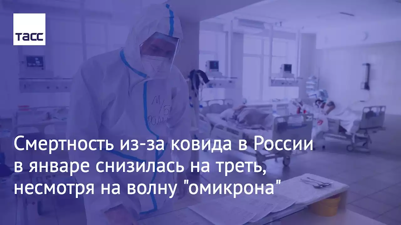 Смертность из-за ковида в России в январе снизилась на треть, несмотря на волну 'омикрона'