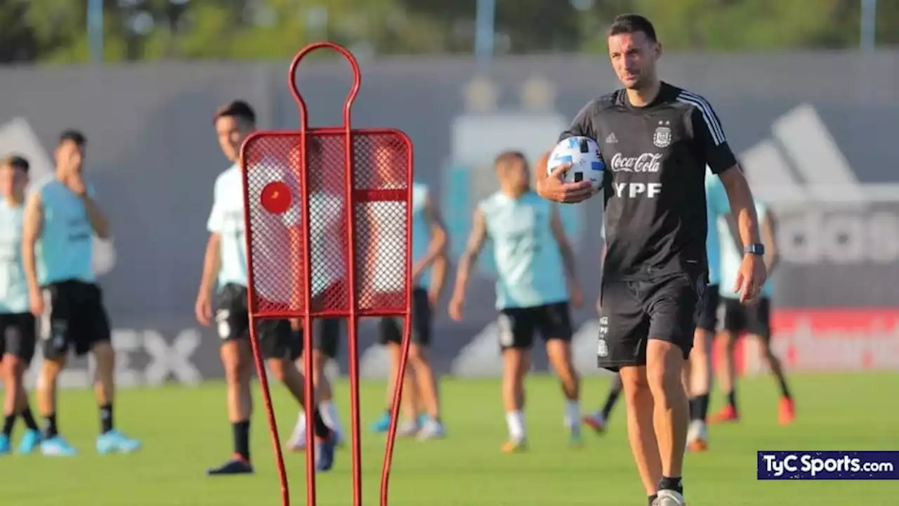 Buendía, la buena noticia de la Selección Argentina, y Papu Gómez, la mala - TyC Sports