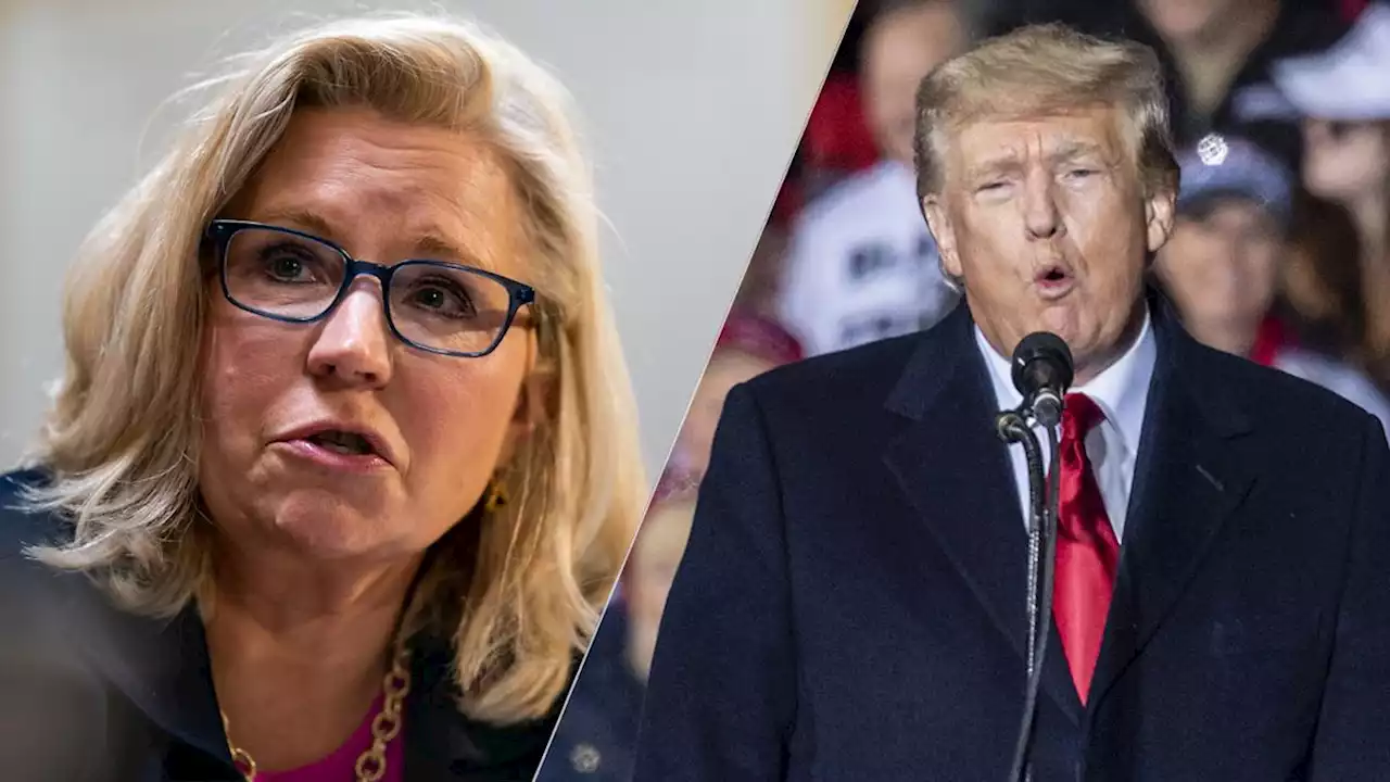 Liz Cheney says Trump’s offer to consider Jan. 6 pardons shows ‘he’d do it all again’