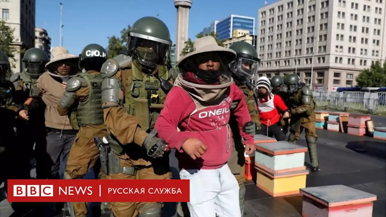 Протест пчеловодов в Чили. Искусано семеро полицейских - BBC News Русская служба