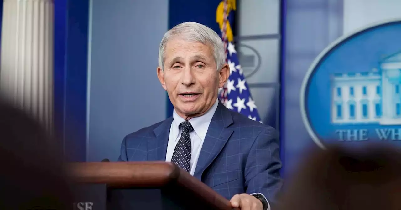 Fauci: CDC mulling COVID test requirement for asymptomatic cases