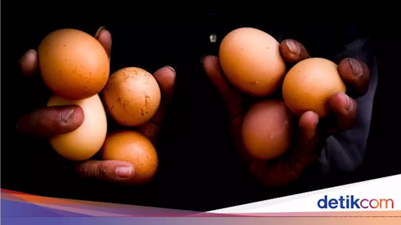 Kemendag Klaim Harga Telur Ayam Mulai Turun ke Rp 27.000/Kg