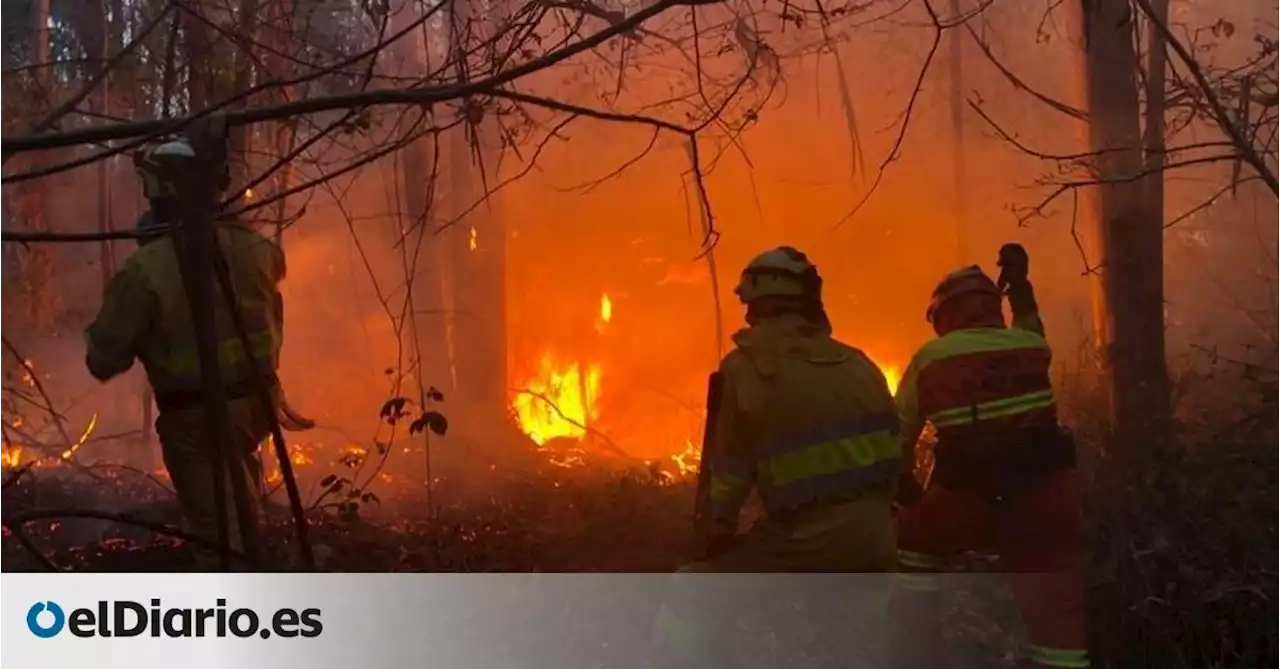 Cantabria arranca el año con casi medio centenar de incendios 'intencionados'