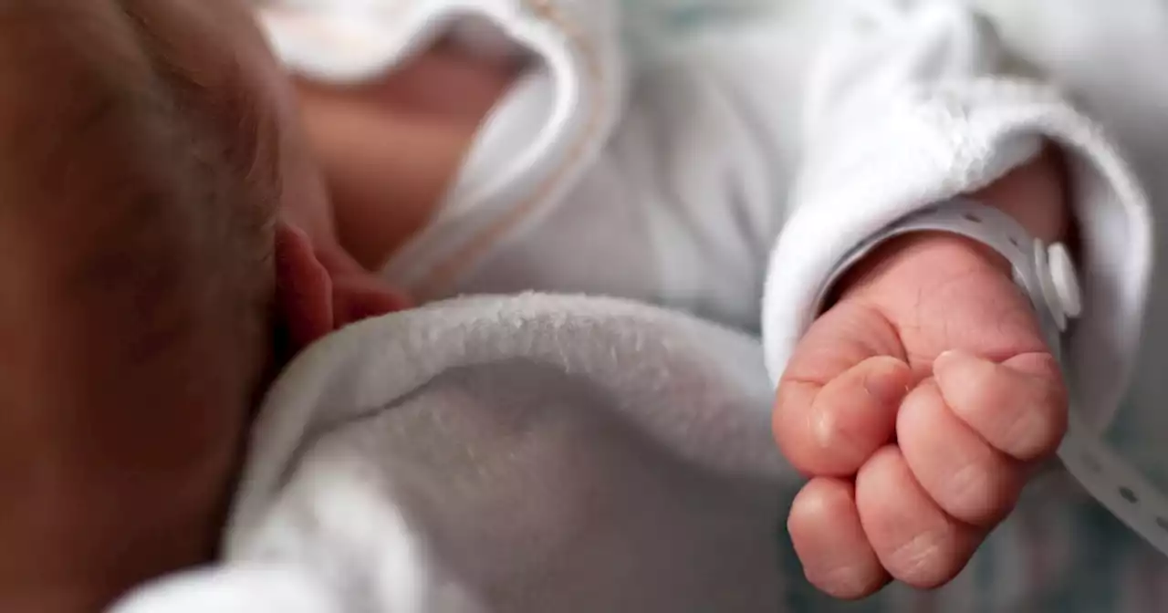 Newborn baby found abandoned in cardboard box in Alaska