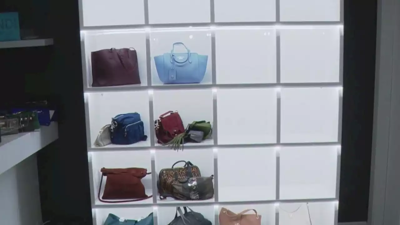 Thieves snatch $50K worth of purses from Chicago consignment store